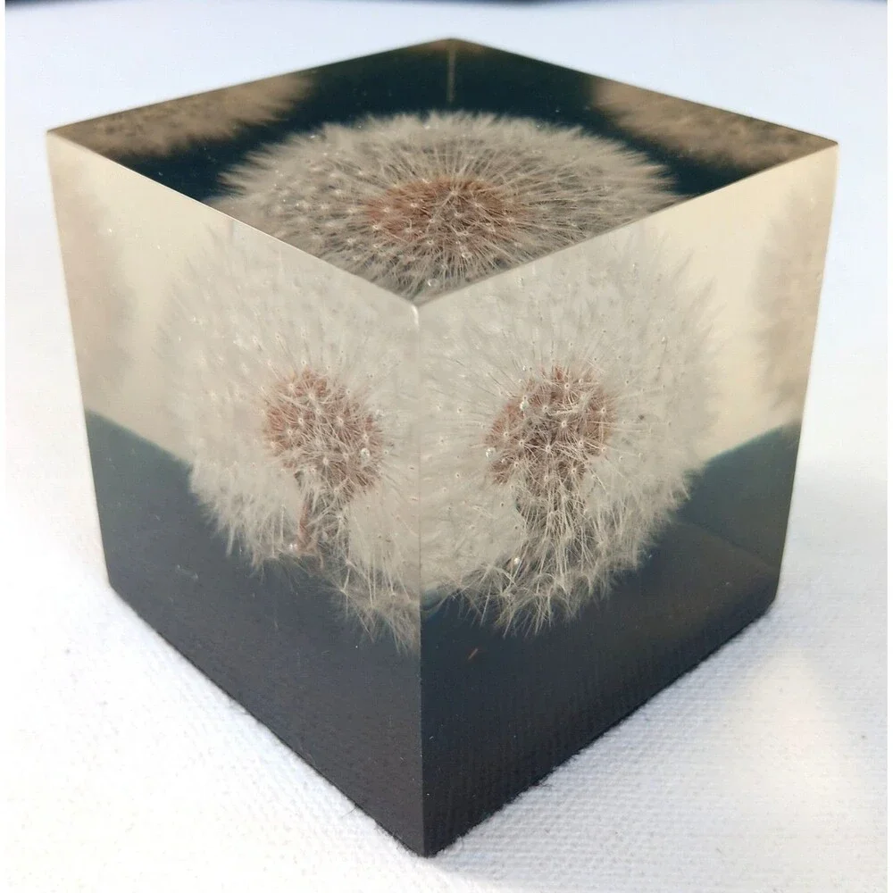 Vintage Dandelion Lucite Resin Cube Paperweight  Shoreline 2 3/8